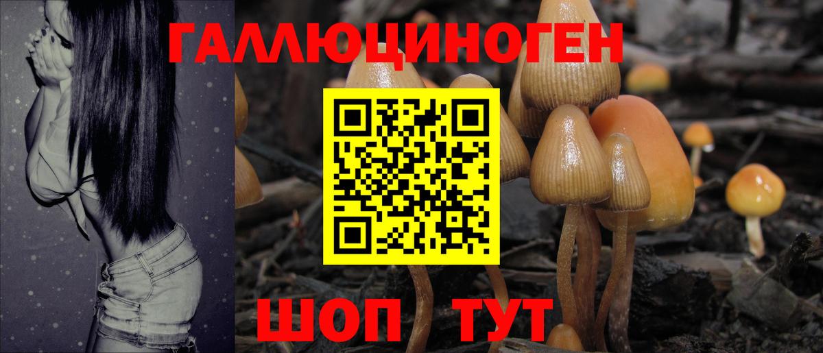 Каменск-Шахтинский  Псилоцибиновые грибы мицелий  продажа наркотиков  Вход с VPN 